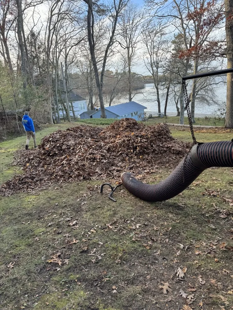 Trusted lawn care service experts serving South Dennis, MA - Sky Scraper Service