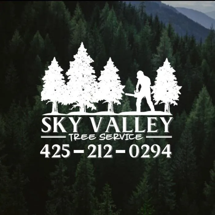 Reliable yard cleanup service experts serving Snohomish, WA - Sky Valley Tree Service