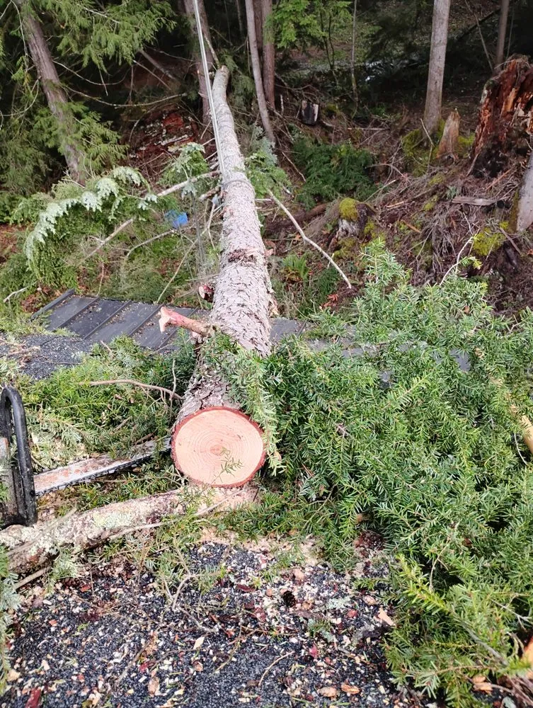 Local lawn mowing service for homes in Snohomish, WA by Sky Valley Tree Service