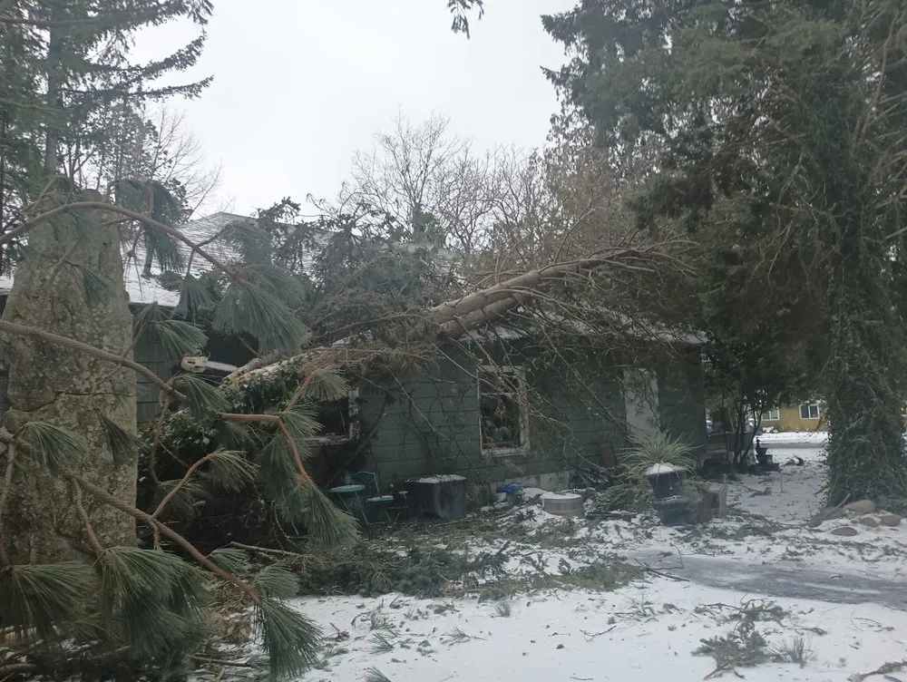 Top-rated garden landscaping in Snohomish, WA - Sky Valley Tree Service