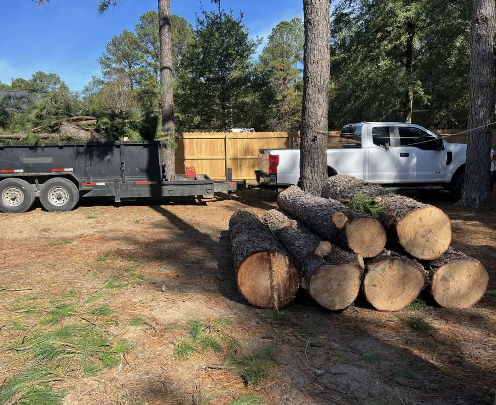 Trusted lawn care service near you in Snohomish, WA by Sky Valley Tree Service