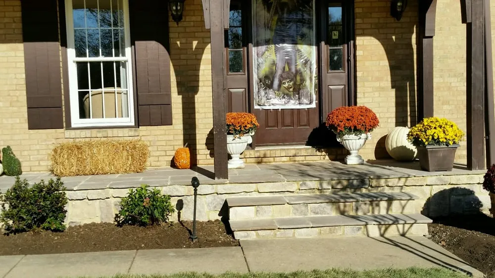 Trusted yard cleanup service in Pasadena, MD - SKYCO