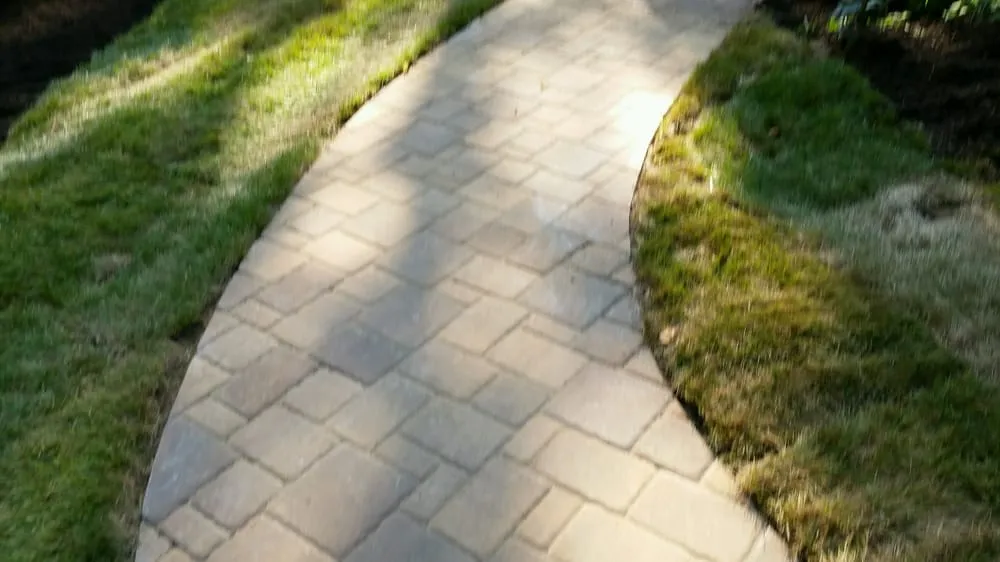 Reliable lawn care service for year-round maintenance across Pasadena, MD - SKYCO