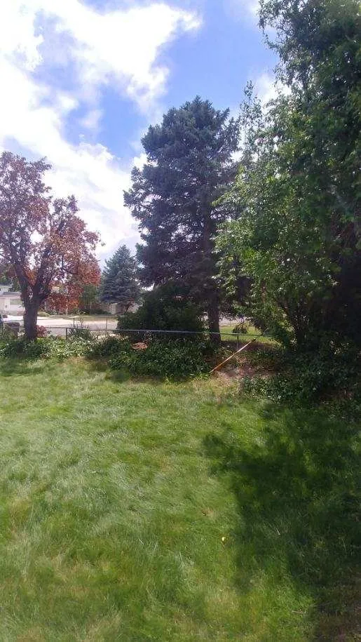 Affordable landscaping services experts serving Taylorsville, UT - Skye Landscape