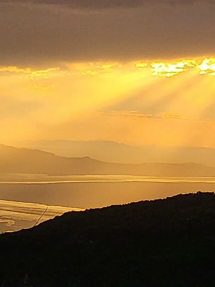 Affordable yard cleanup service in Taylorsville, UT - Skye Landscape