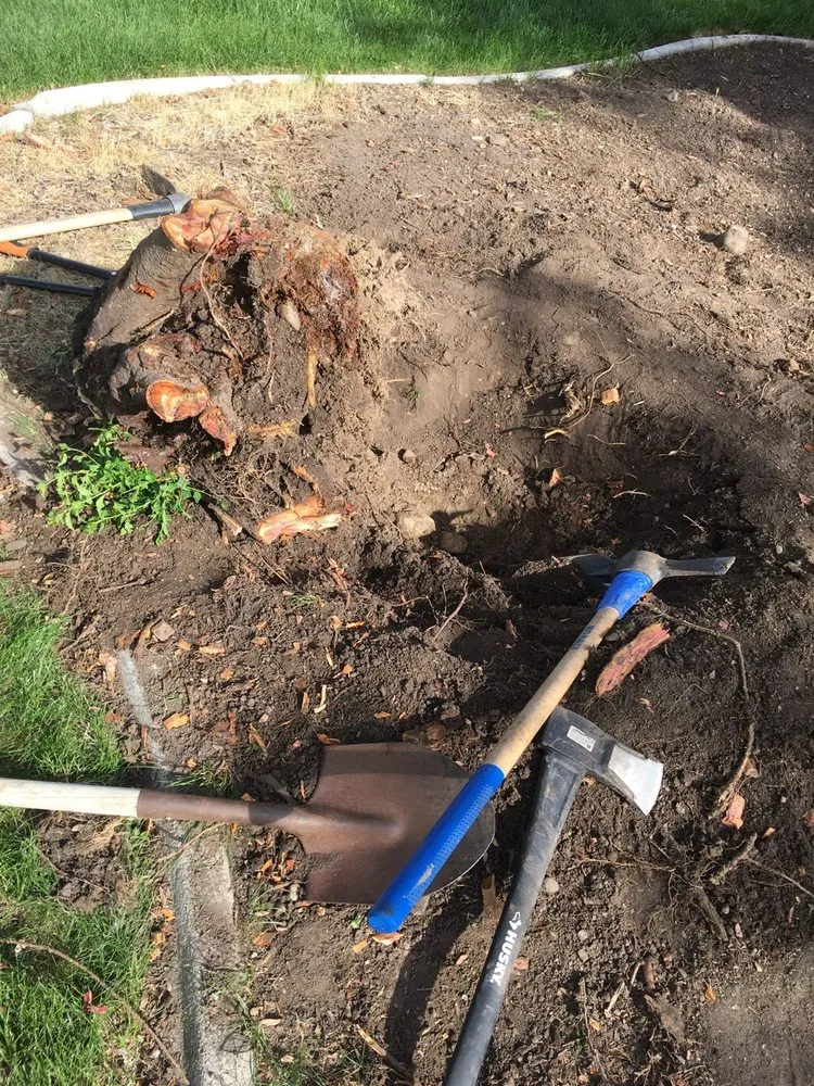 Reliable yard maintenance in Taylorsville, UT - Skye Landscape