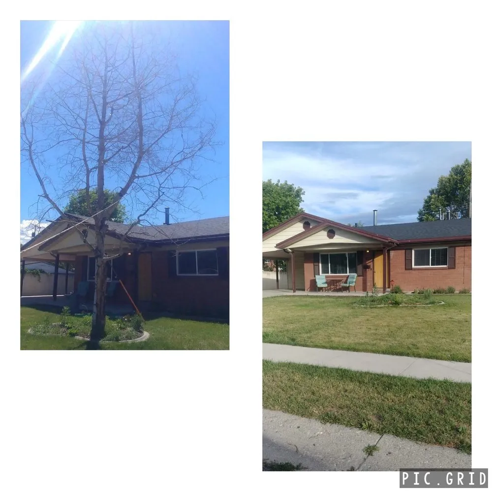 Expert outdoor landscaping in Taylorsville, UT by Skye Landscape