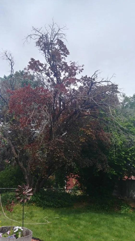 Top-rated garden landscaping in Taylorsville, UT by Skye Landscape