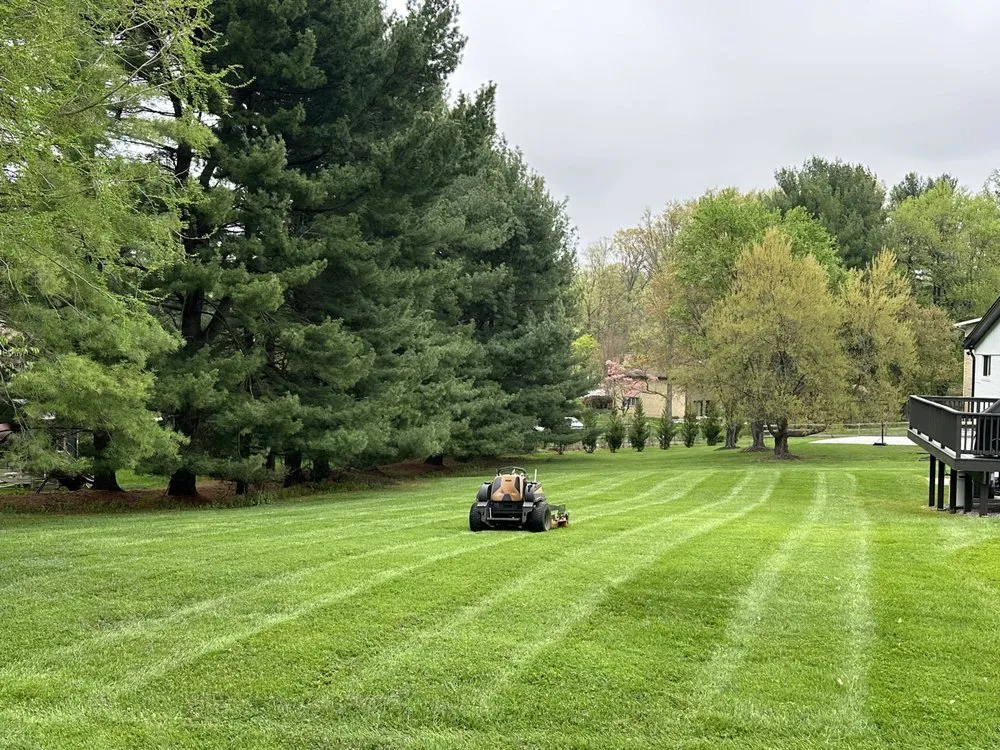 Local landscaping services in Baltimore, MD by Skye Landscaping