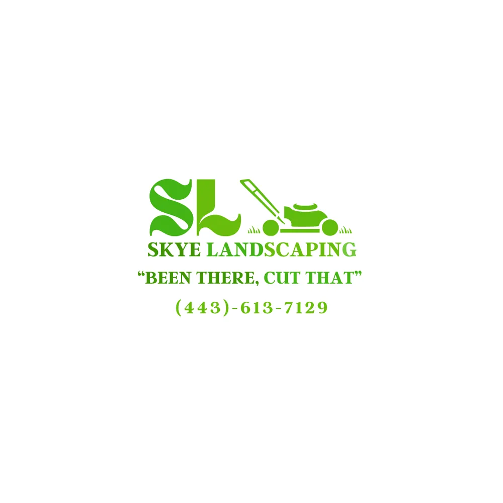Top-rated yard cleanup service for outdoor upgrades in Baltimore, MD by Skye Landscaping
