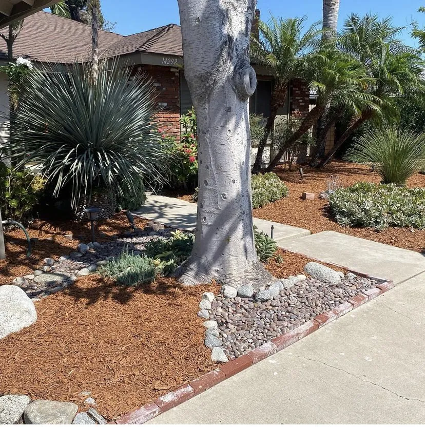 Custom lawn mowing service in Fullerton, CA by Skye Landscaping