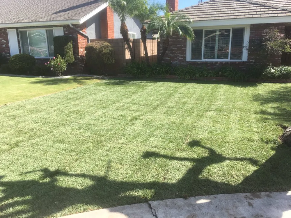 Top-rated lawn care service experts serving Fullerton, CA - Skye Landscaping