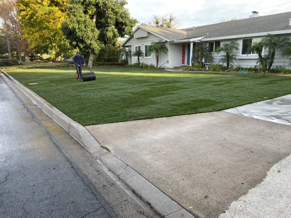 Professional yard maintenance for homes in Fullerton, CA by Skye Landscaping