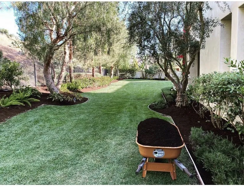 Affordable yard maintenance experts serving Fullerton, CA - Skye Landscaping