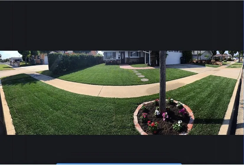 Local lawn care service in Fullerton, CA - Skye Landscaping