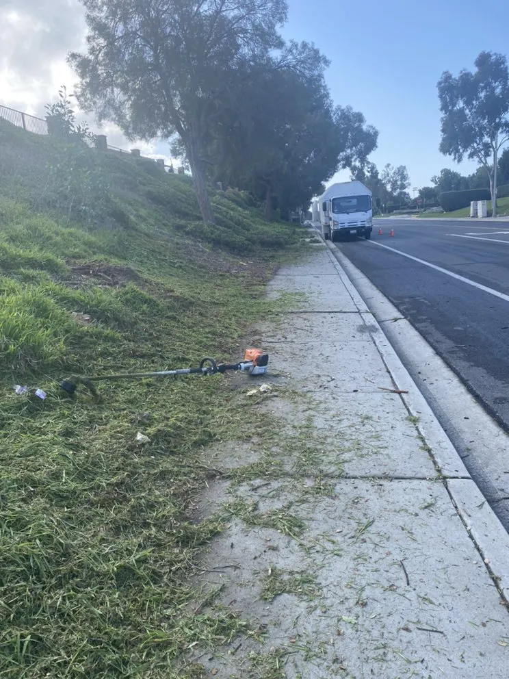 Professional landscaping services with custom design in Fullerton, CA by Skye Landscaping