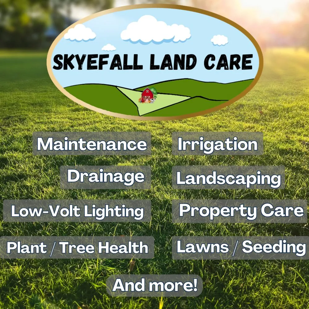 Trusted lawn care service in Litchfield Park, AZ by Skyefall Land Care
