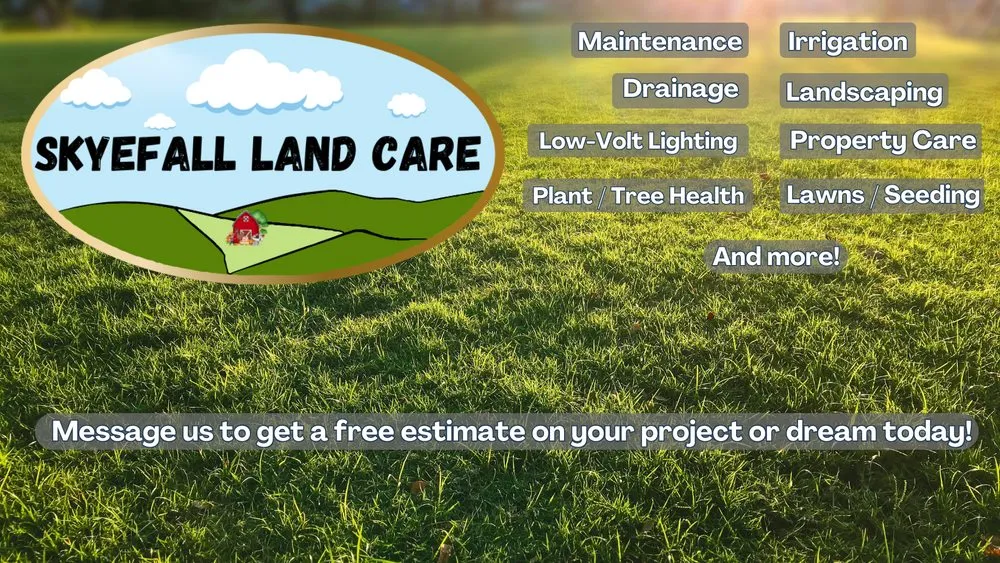 Reliable yard cleanup service near you in Litchfield Park, AZ by Skyefall Land Care