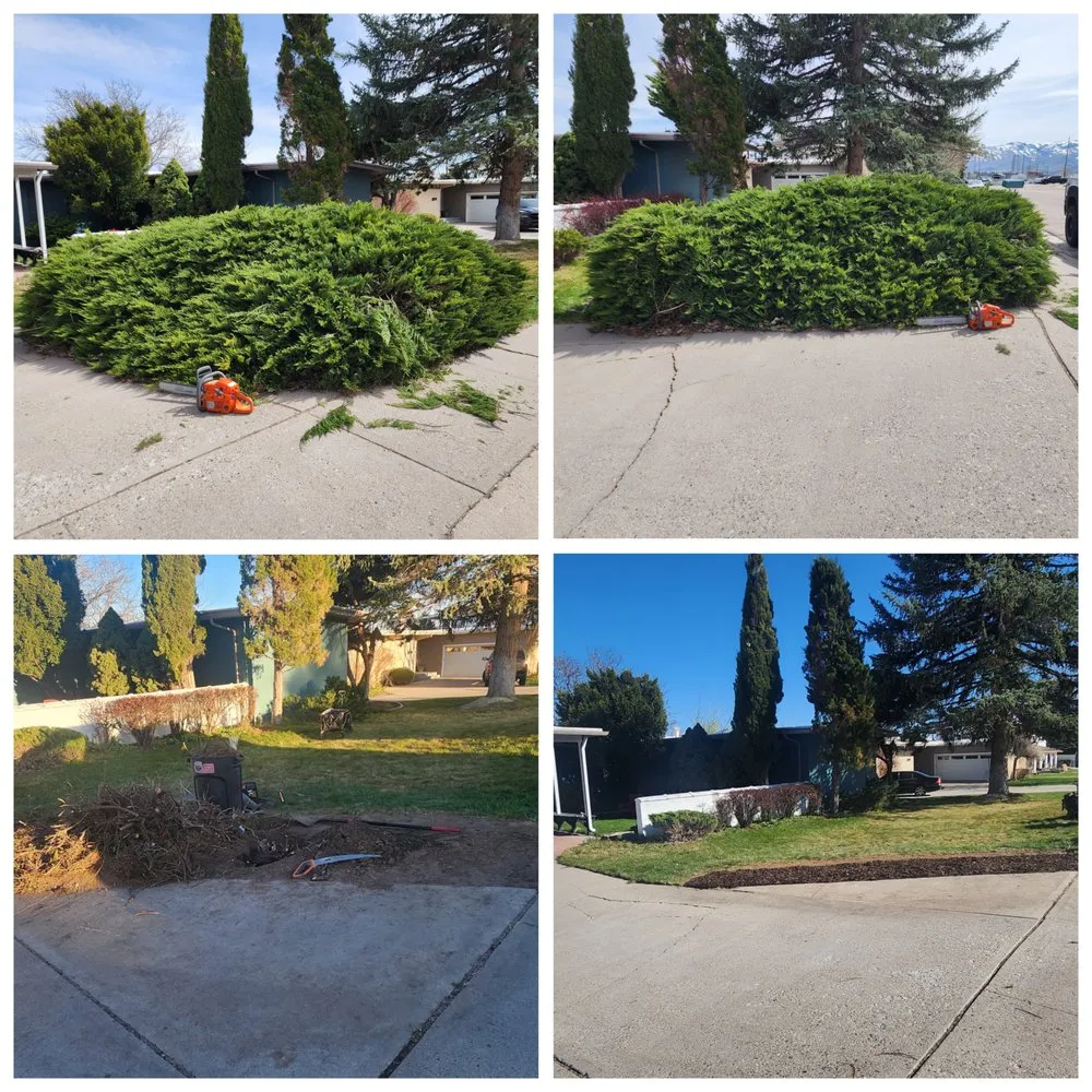 Affordable landscape installation in Pocatello, ID by Skyes Landscaping & Services