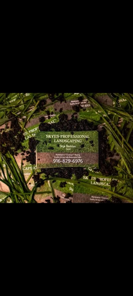 Expert yard maintenance experts serving Citrus Heights, CA - Skyes Professional Landscaping