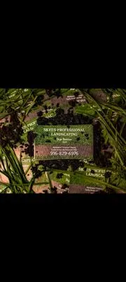 Skyes Professional Landscaping Logo