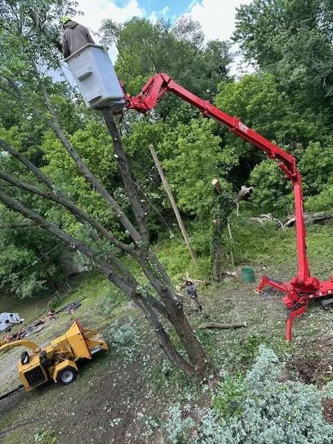 Local residential landscaping in Maple Shade, NJ by Skyfall Landscaping