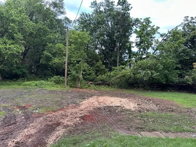 Reliable yard cleanup service experts serving Maple Shade, NJ - Skyfall Landscaping