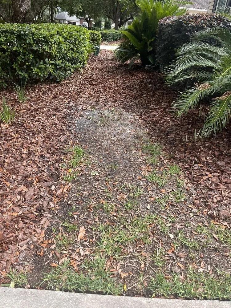 Top-rated yard maintenance experts serving Gainesville, FL - SkyFrog Landscape