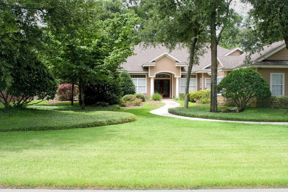 Top-rated yard cleanup service for year-round maintenance in Gainesville, FL by SkyFrog Landscape