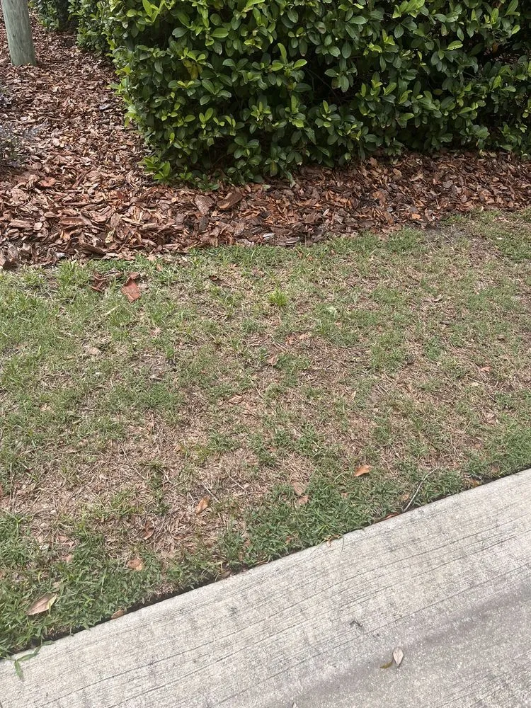 Trusted outdoor landscaping for outdoor upgrades in Gainesville, FL by SkyFrog Landscape