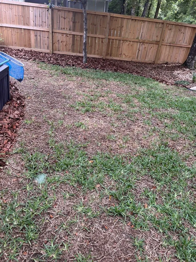 Expert outdoor landscaping for year-round maintenance in Gainesville, FL by SkyFrog Landscape