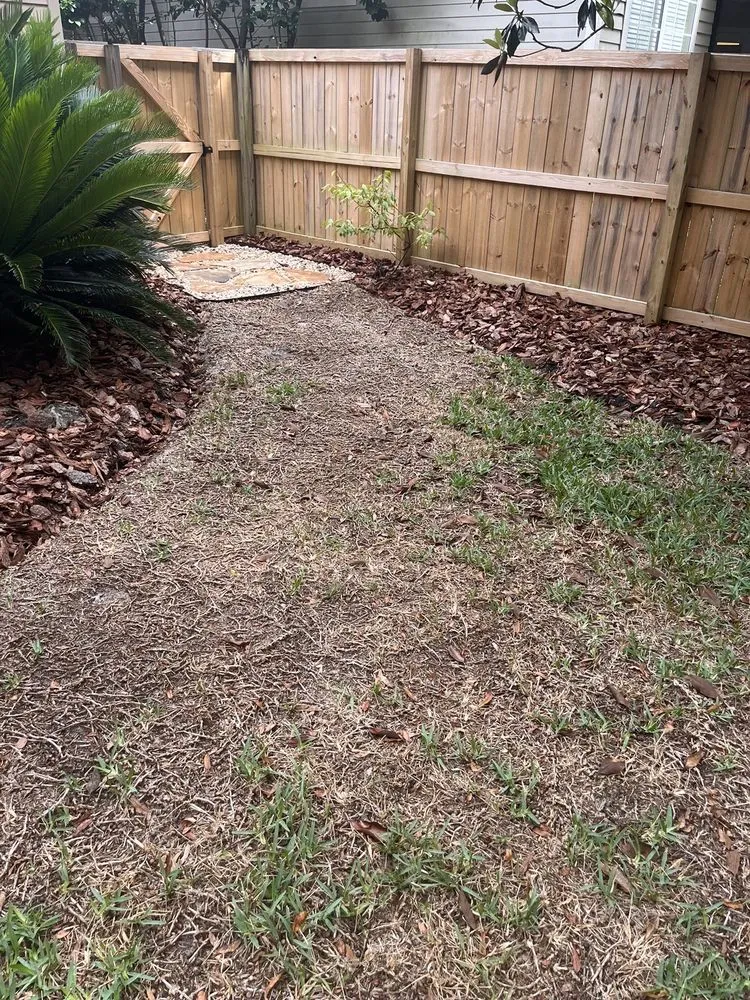 Reliable yard cleanup service in Gainesville, FL - SkyFrog Landscape