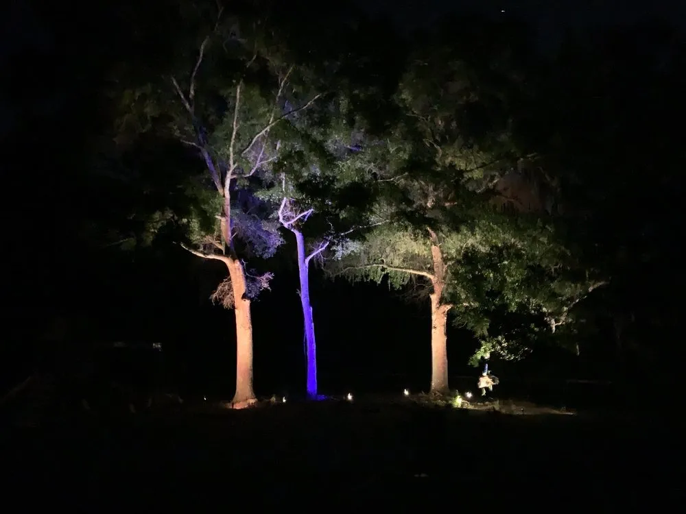 Top-rated residential landscaping in Gainesville, FL by SkyFrog Landscape