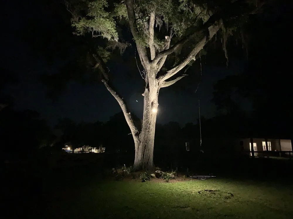 Reliable residential landscaping experts serving Gainesville, FL - SkyFrog Landscape