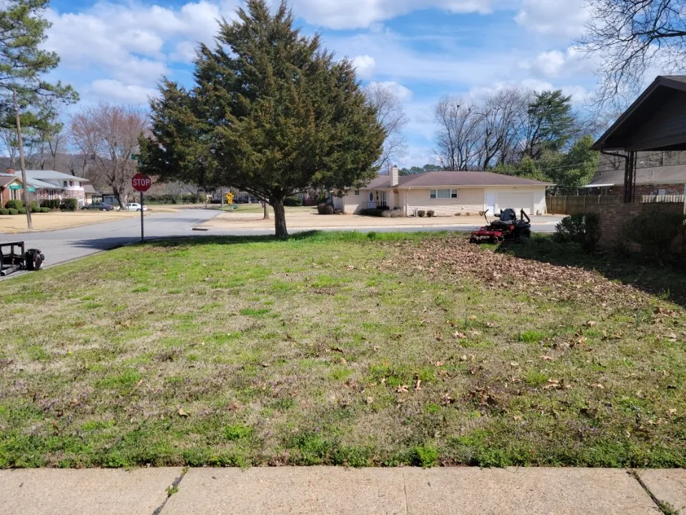 Reliable landscaping services near you across Athens, AL - SkyGreen Landscaping