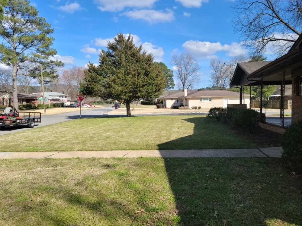 Reliable landscaping services in Athens, AL - SkyGreen Landscaping