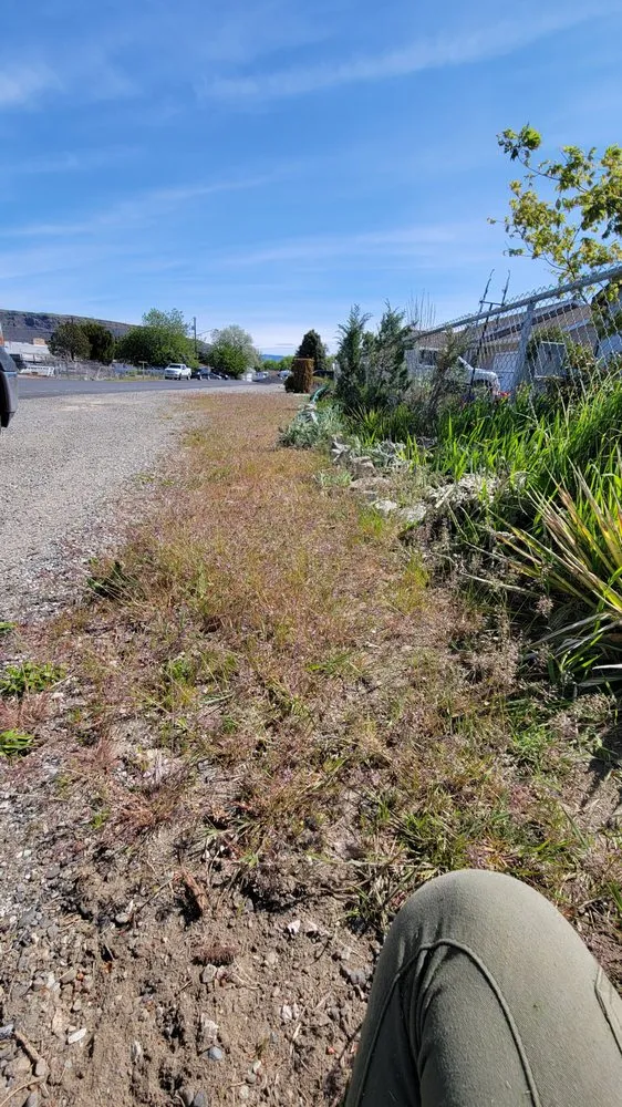 Local landscaping services in Electric City, WA by Skylar's Home & Lawn Care