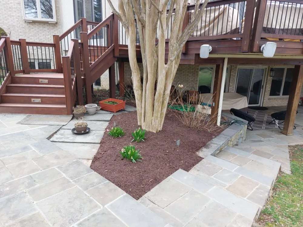 Trusted yard cleanup service in Gaithersburg, MD by Skylawn