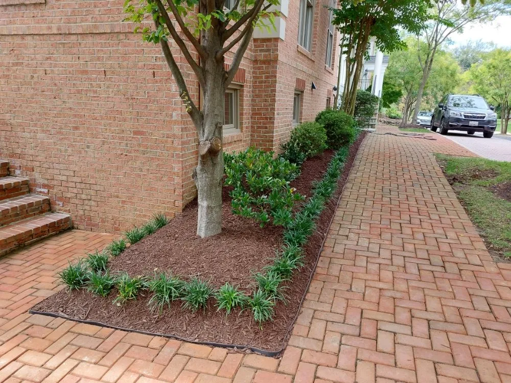 Reliable yard maintenance in Gaithersburg, MD by Skylawn