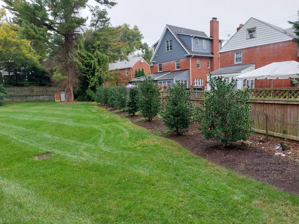 Reliable yard cleanup service for beautiful yards across Gaithersburg, MD - Skylawn