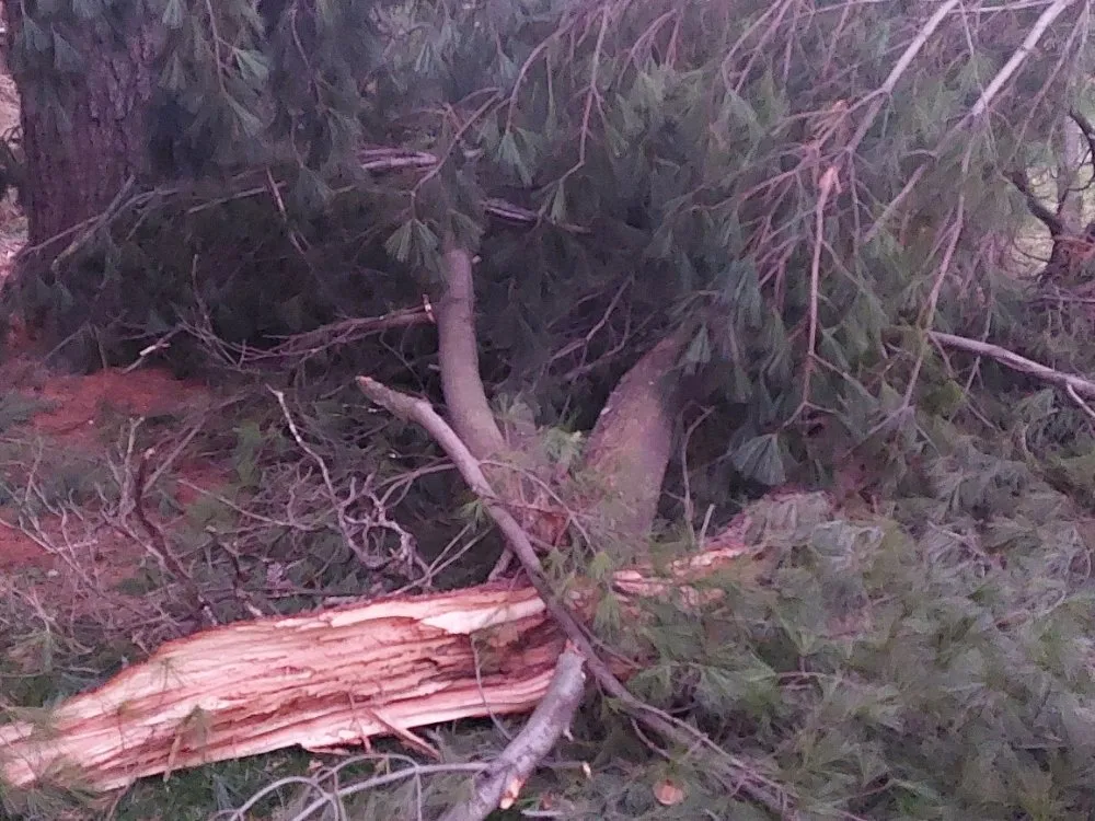 Trusted landscaping services for outdoor upgrades in Gaithersburg, MD by Skylawn