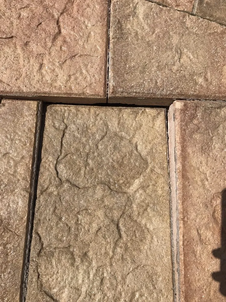 Reliable landscape installation experts serving Coconut Creek, FL - Skyler Pool And Spas, Inc