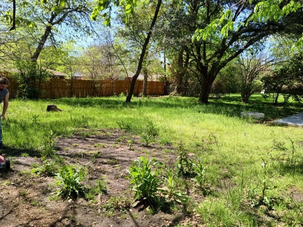 Trusted landscape design in Joshua, TX by Skylers Green Team