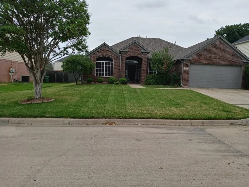Reliable lawn mowing service experts serving Joshua, TX - Skylers Green Team