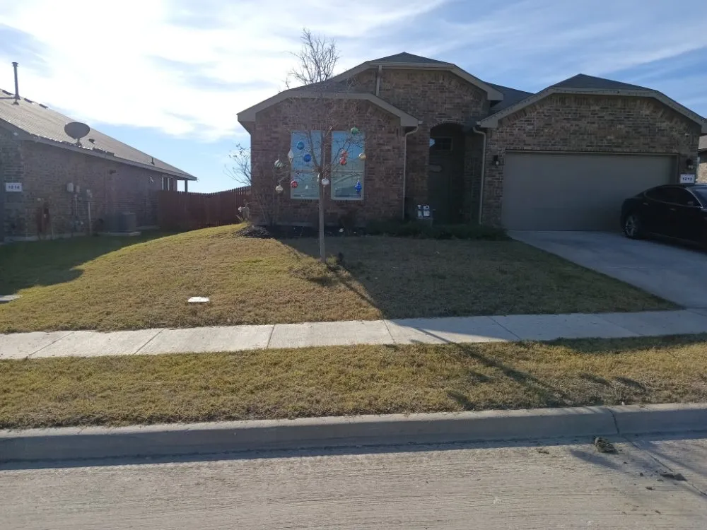 Top-rated yard cleanup service with custom design across Joshua, TX - Skylers Green Team