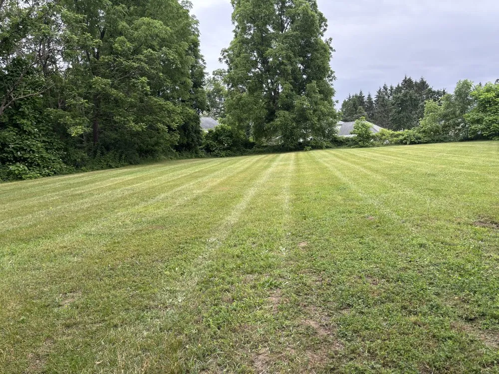 Expert landscaping services in Utica, NY by Skyler’s Lawn & Landscape