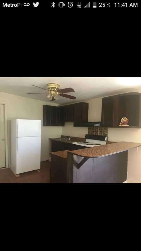 Top-rated yard cleanup service in Laredo, TX - Skyles Lawn and Maintenance Services