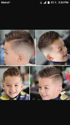 Skyles Lawn and Maintenance Services Logo