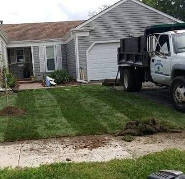 Top-rated yard cleanup service for homes across Elgin, IL - Skylight Landscaping