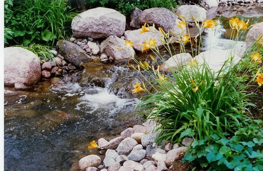 Top-rated lawn mowing service in Fort Mill, SC by Skyline Design and Landscape